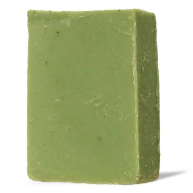 Savon Solide Homme Aloe Véra - SAPIENS