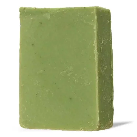 Savon Solide Homme Aloe Véra - SAPIENS