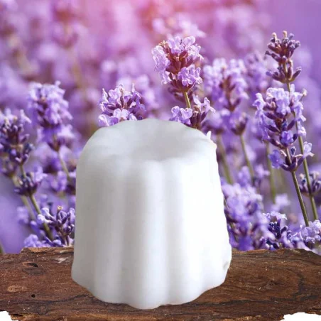 Fondant Parfumé Lavande Chic - BALAMATA