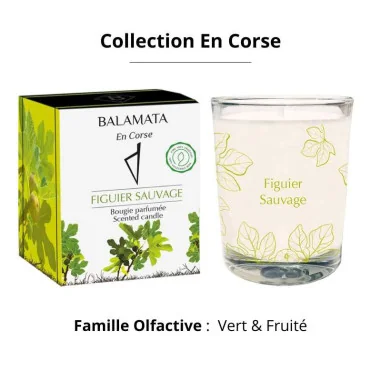 Bougie Parfumée Figuier Sauvage - BALAMATA