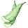 Aloe Véra
