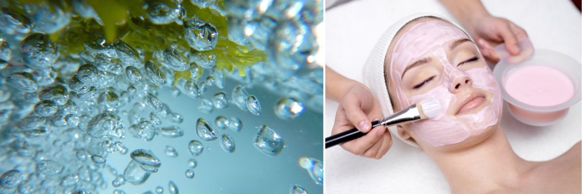 Cosmétiques aux Algues Marines Bio