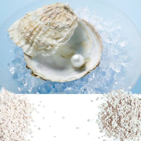 Cosm&eacute;tiques Poudre Coquilles Hu&icirc;tres
