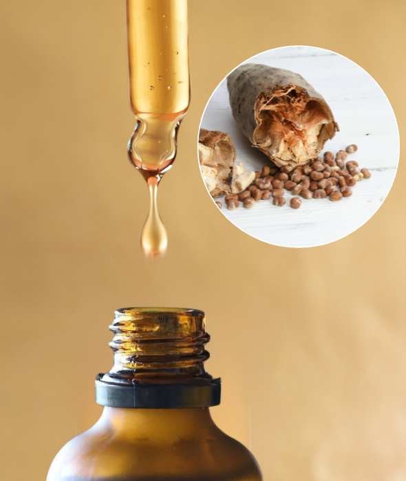 Huile Végétale de Baobab Bio Comptoir des Huiles