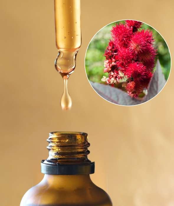 Huile Végétale de Carapate Bio Comptoir des Huiles