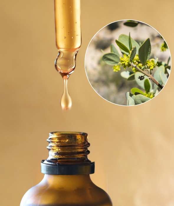 Huile de Jojoba Visage Bio Comptoir des Huiles