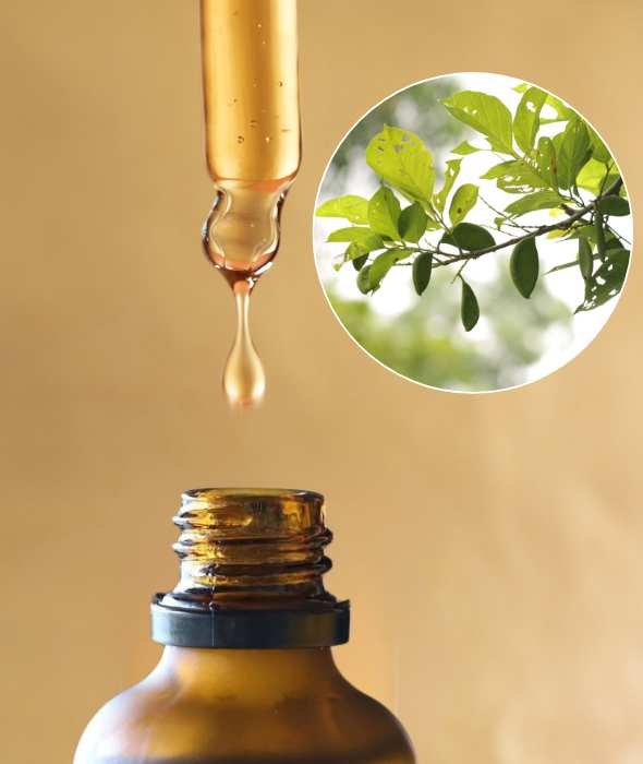 Huile Végétale de Karanja Comptoir des Huiles