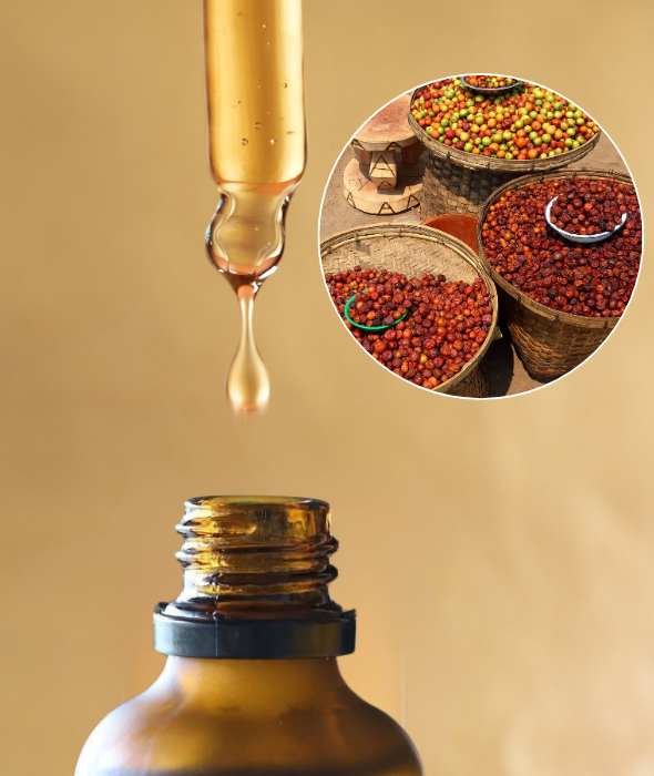 Huile de Marula Bio Comptoir des Huiles