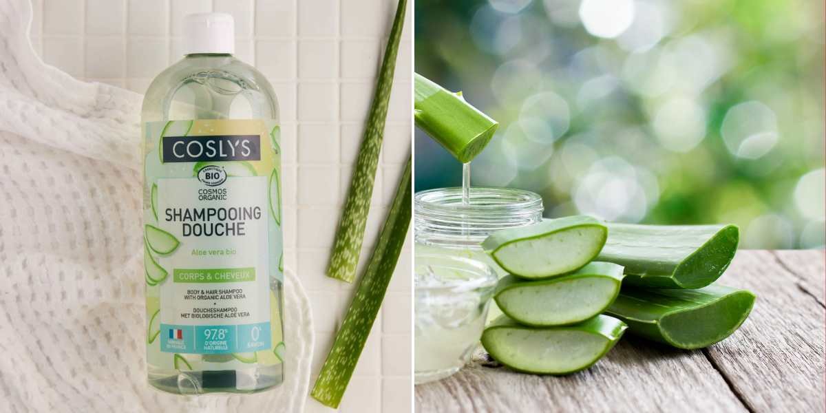 Shampoing Douche Bio Alo&eacute; V&eacute;ra Coslys