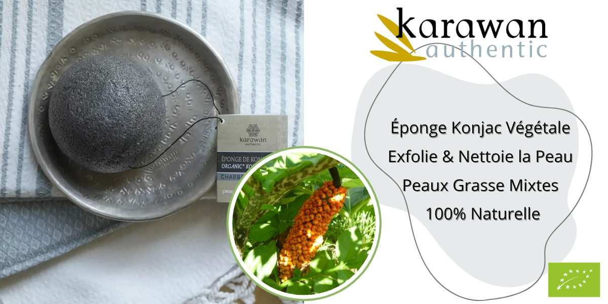 Eponge Konjac Charbon Noir Peaux Grasses &agrave; Mixtes Bio Karawan Authentic