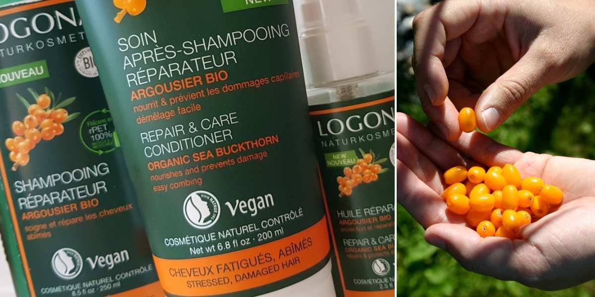 Soins Cheveux Argousier Bio Logona